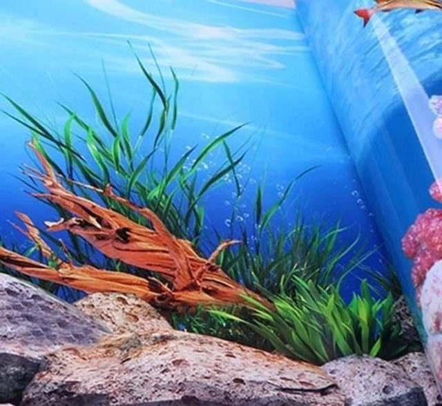 Aquarium Poster Background