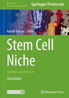 Kursad Turksen | Stem Cell Niche | Buch | Englisch (2025) | Xiii | Springer