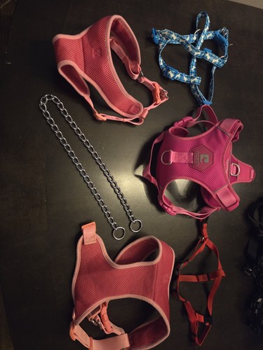 Dog Harnesses 6 Total New and Used M to XL Various Styles