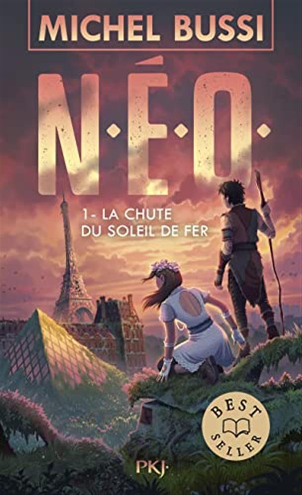 La chute du soleil de fer: Tome 1, La chute du soleil de fer - Bussi Michel