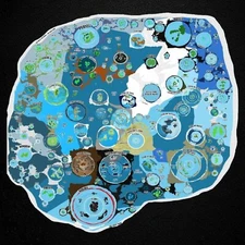 DIGITAL FILE, Terra Infinita map, Flat Earth,  high quality photo for print