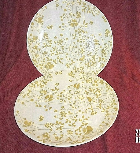 VINTAGE LOT OF 2- Sheffield Ironstone Golden Meadow MidCentury 10” Dinner Plates