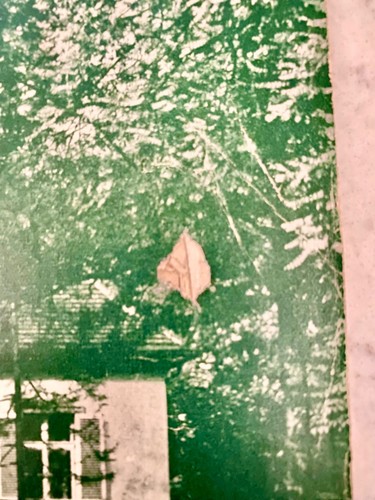 Vtg. 25 BEAUTIFUL COUNTRY HOUSES Plans Illustrated Special Issue GermanText RARE - Picture 5 of 9