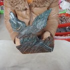 Foto 7 di 12