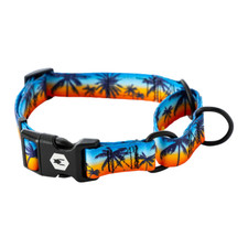 NWT wolfgang man SunsetPalms Martingale Dog Collar