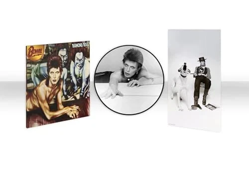 David Bowie Picture Disc Music Records for sale - eBay