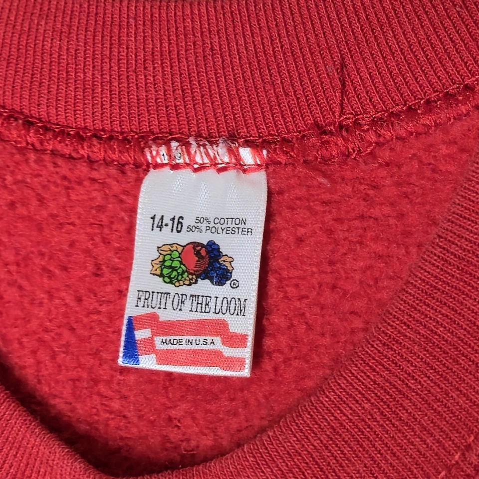 Sudadera Universitaria Louisville Cardinals Vintage Años 90 Niños Talla XL Foto 3 de 4