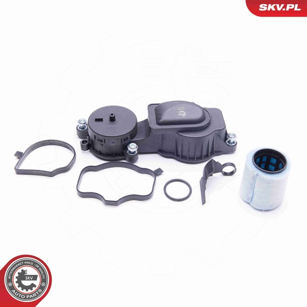 Esen SKV Ventil KurbelgehäUseentlüFtung 31SKV033 FüR BMW 3Er E46 Touring 5Er E39-image