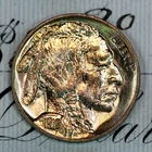 * 1919-P * PRISTINE++ GEM BU MS BUFFALO NICKEL * FROM ORIGINAL COLLECTION