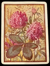 1 SWAP PLAYING CARDS OLD US WIDE NAMED FLOWERS