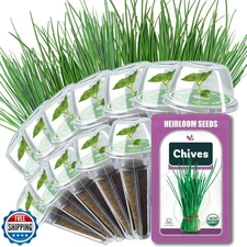 Chives Seed Pods for All Hydroponics Growing Systems, 12 Pods Herb Kit with 2