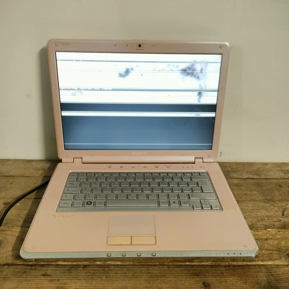 PC Netbook Laptop Sony Vaio Laptop 15.6' Intel Pentium 4GB Ram 250GB HDD - Immagine 3 di 4