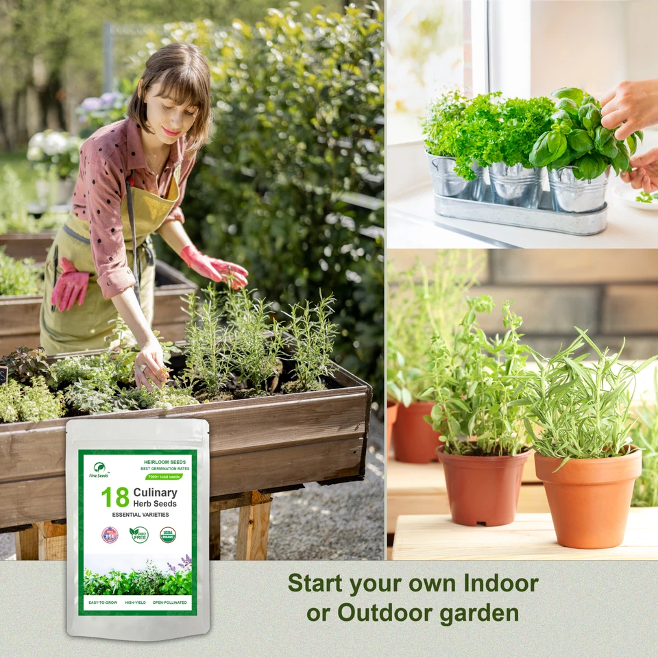 草本种子品种包 | 18 种基本烹饪品种 | 7000 多粒传家宝种子 — 第 4/4 张图片