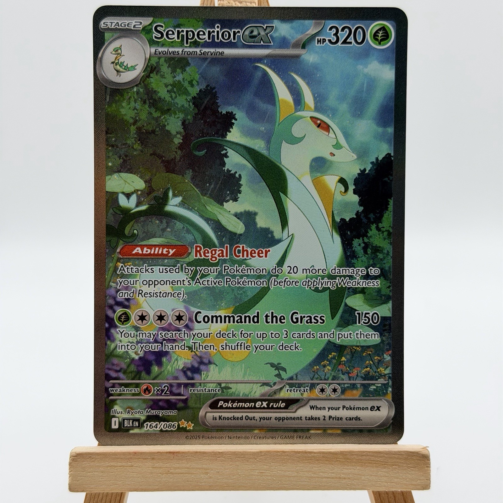 Serperior ex 164/086 Holo Special Illustration Rare Black Bolt Pokemon