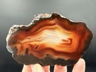 1 Brazilian And 1 Piranha Agate Slabs — photo 3