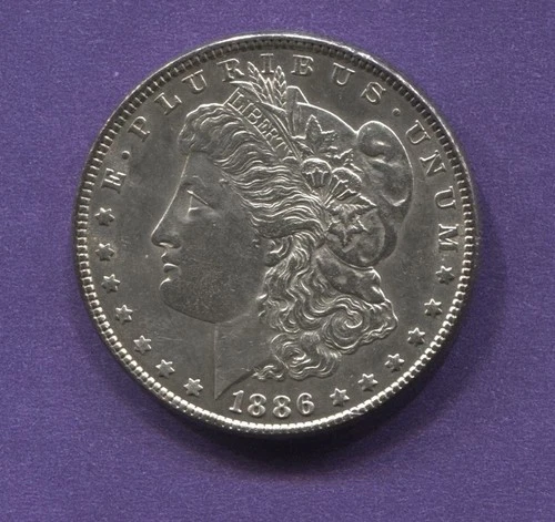 1886-P Morgan Silver Dollar, XF (90% Silver)