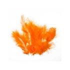 Bild 23 von 41