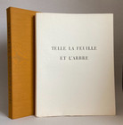 Andrée CARAIRE. Telle la feuille et l'arbre. Illustré par André VILLERS & PAPART