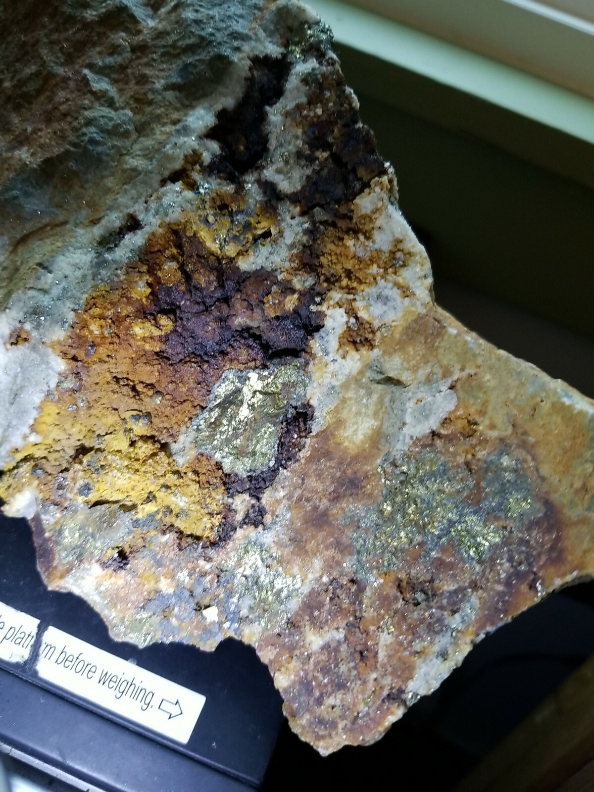 Amazing Colorado MOTHERLODE GOLD IN QUARTZ Ore Display specimen 7lb