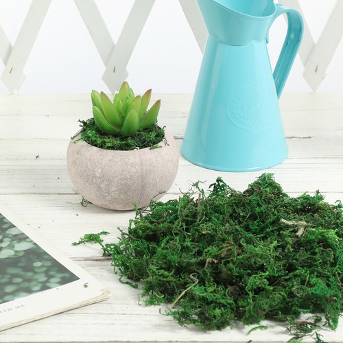 Simulated Moss Decoration Artificial for Crafting Decorative Fake - Picture 9 of 12
