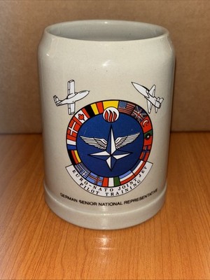 Beyer Euro Nato Joint Jet Pilot Training German Stein Stoneware .5L Set Of 2