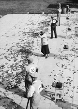 Mrs Grosvenor stands alongside unspecified competitors, shotgun ca Old Photo