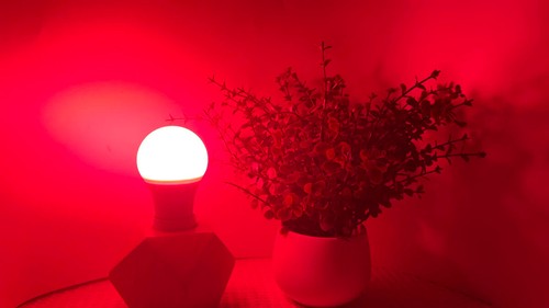 Colourful B22 Cap LED Lamp Bulb SMD 2835 Energy Saving A50 Bulbs for Stage Party - Picture 16 of 44