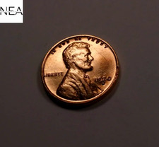  on The Hot Collector