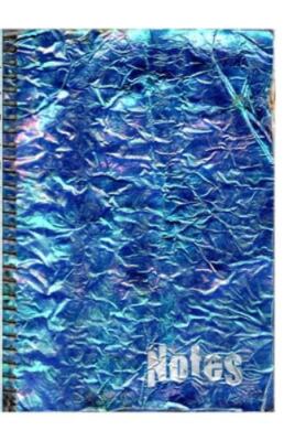 Another Day (or Two) in the Life...: Journal Entries from Another Time, Brand...