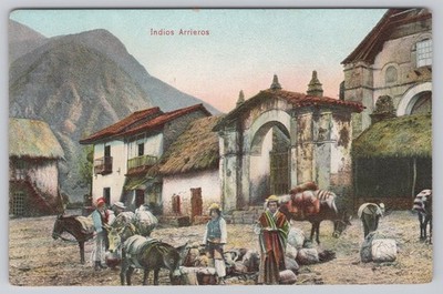 Peru Indios Arrieros Indigenous Mule Drivers Andes Village Postcard  c.1910