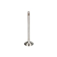 Auslassventil FRECCIA R6949/BM