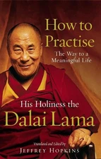 Dalai Lama How To Practise (Paperback) (UK IMPORT)
