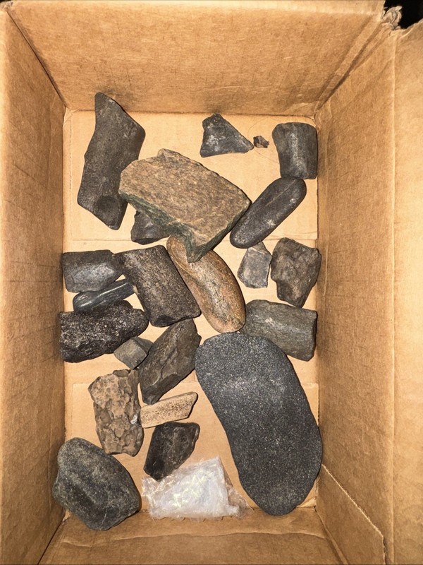 Peace River Fossils