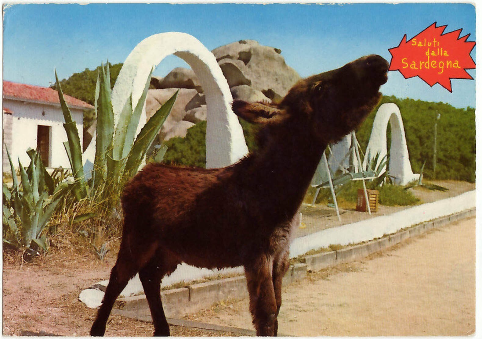 ARZACHENA - SASSARI - ASINELLO SARDO - VIAGG. 1973 -