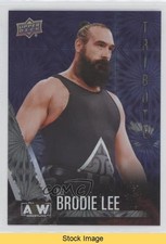 2021 Upper Deck AEW All Elite Wrestling Pyro Mr Brodie Lee #60 READ gy2