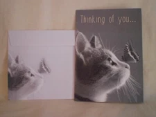 All Occasion - A Sweet Kitty and a Butterfly on cover