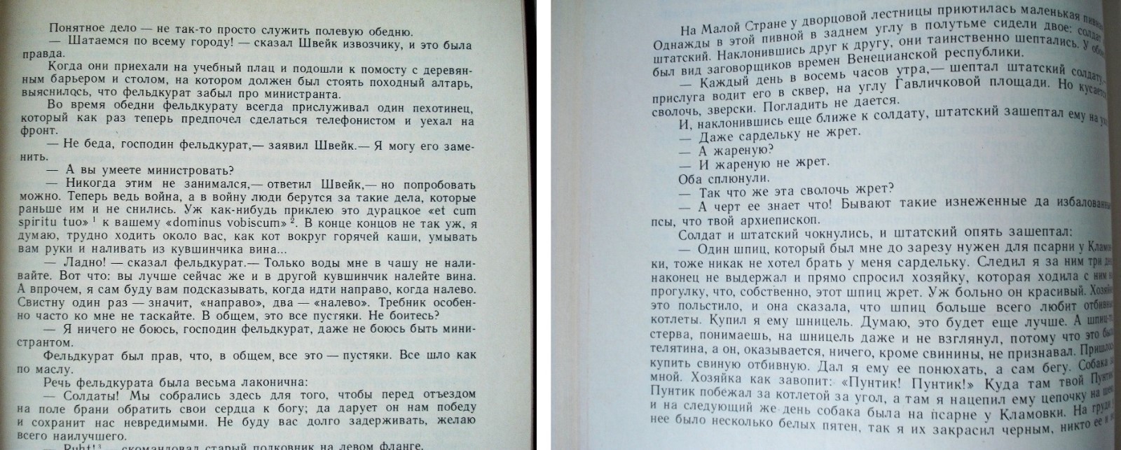 Йозеф лада швейк