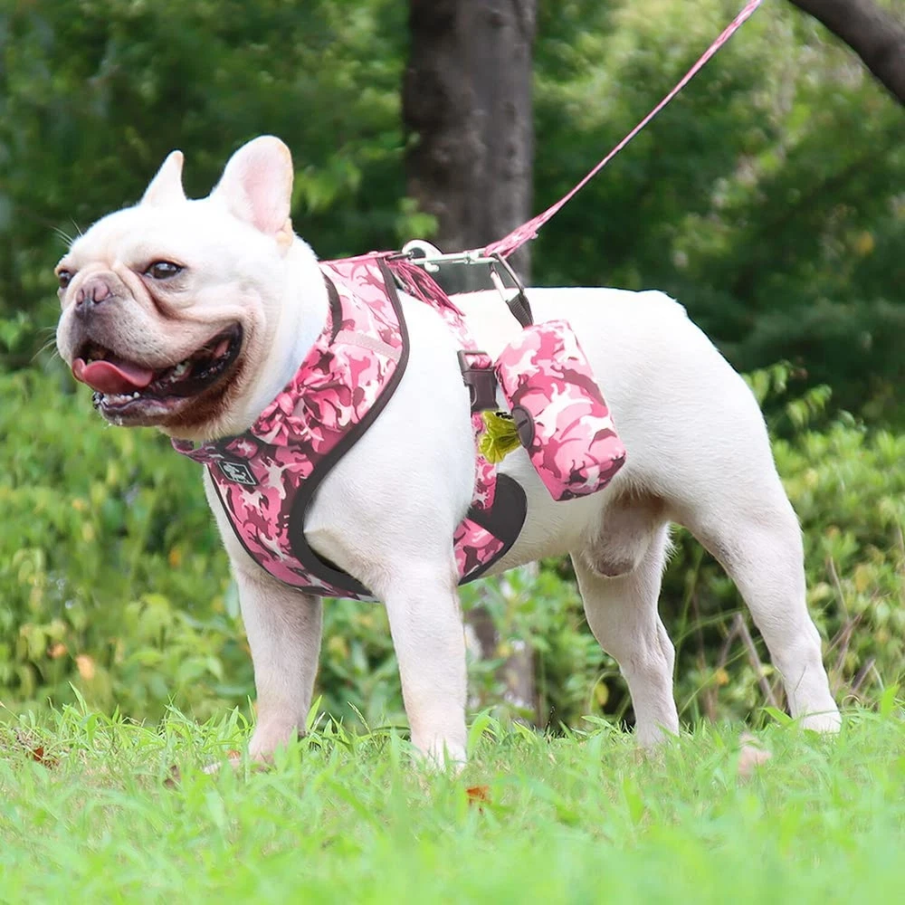 Dog Harness and Leash Set for Small Dogs, Adjustable Reflective No Pull Dog V...