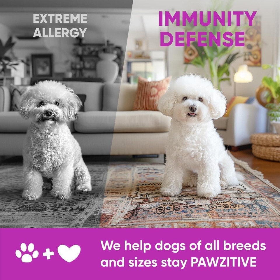 Dog Allergy Relief Chews for Itchy Skin Shedding Licking Paws Hot