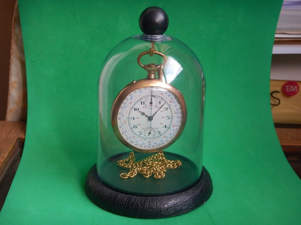 PRÉSENTOIR MONTRE À GOUSSET SUPPORT VITRINE CLOCHE PORTE MONTRE POCHE SOUS  GLOBE