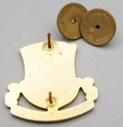WWII 504th Airborne Regiment Strike- Hold DI Unit Crest Pin RARE — photo 2