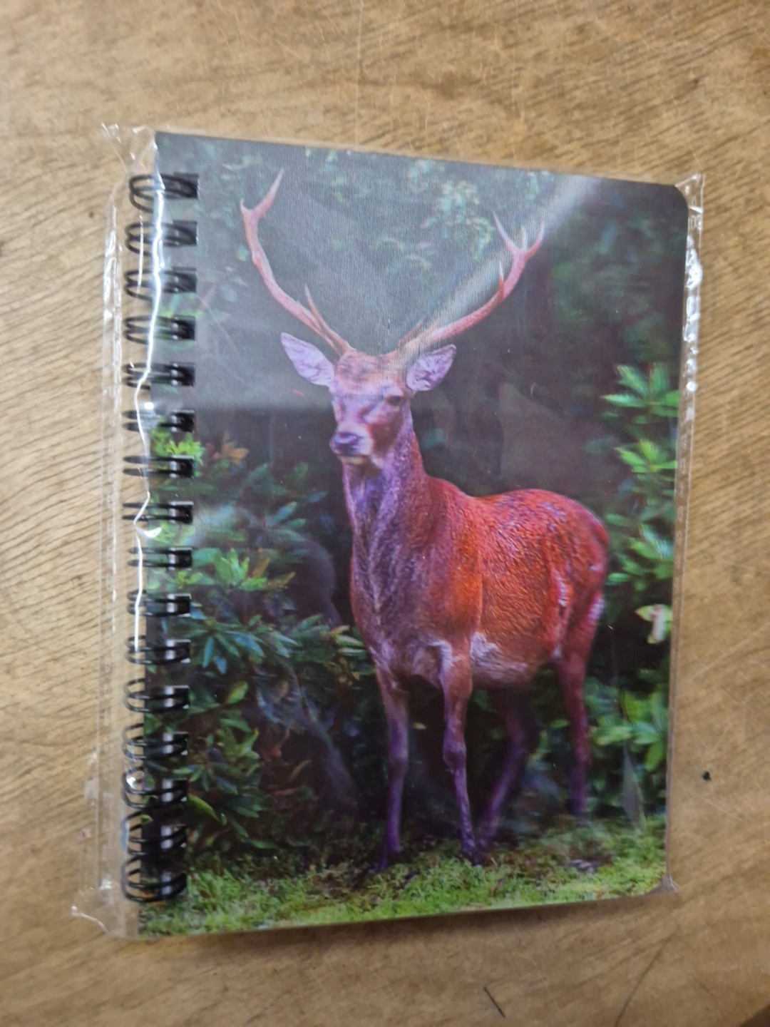 Stags notebook Stag In Autumn Notebooks A6 lined Notepad Deer Nature Wildlife