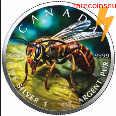 Beauty Bee - Silvercoin, exclusive and rarely, elaboraty detailed, Canada 2024