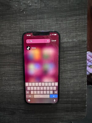 iPhone 12 Pro Max with TikTok Downloaded 