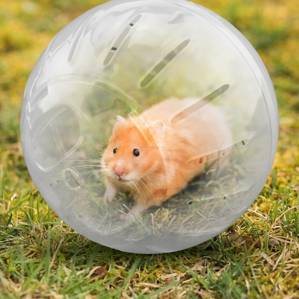 Plastic Mini Jogging Ball Pet Hamster Gerbil Running Ball Play Toy