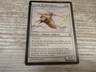1x Auriok Windwalker - Fifth Dawn - EX - German - OOP MTG