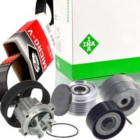 Gates 6PK1320 Keilrippenriemen-Satz + Freilauf Wapu FüR Fiat Opel Alfa