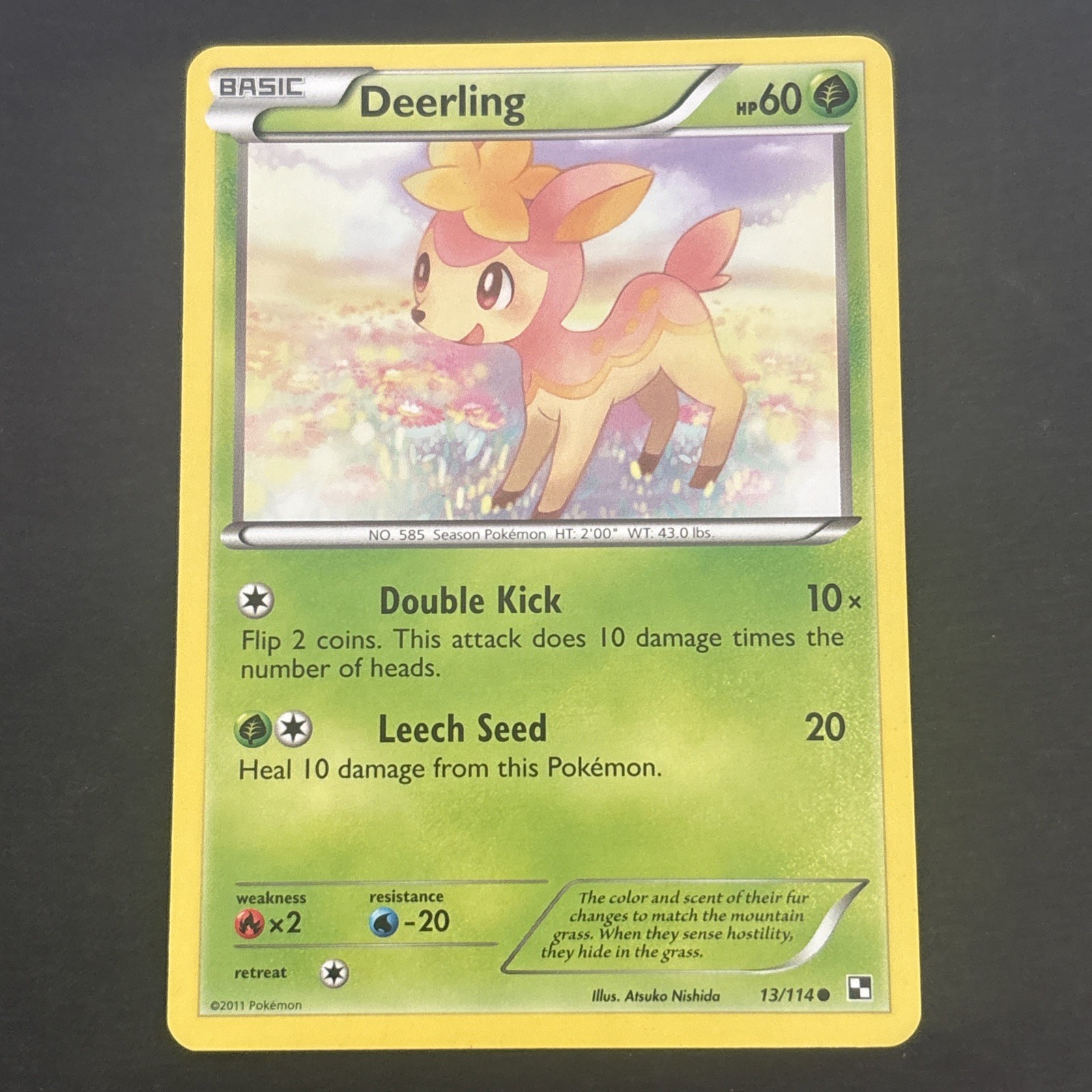 Deerling 13/114 Regular Black & White Base Set Pokémon TCG LP 2011