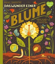 Das Wunder einer Blume - Warum Blumen und Pflanzen so wichtig sind, Rachel  ...