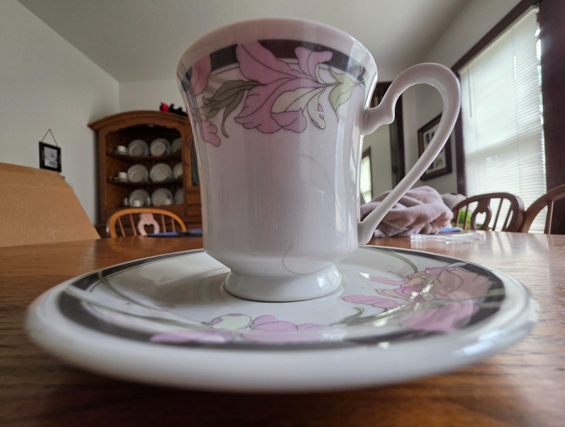 Helena Cup (6oz.) & Saucer (6") Set Gibson Fine China White Grey Pink Green !